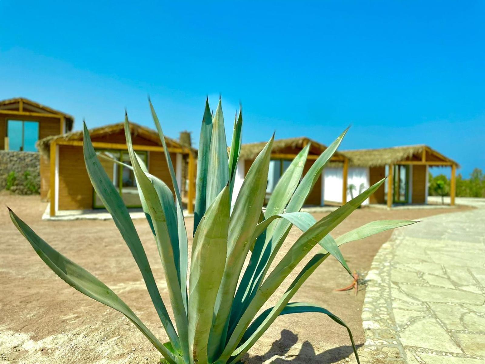 Ananda Beach Camp Nuweiba` Exteriör bild